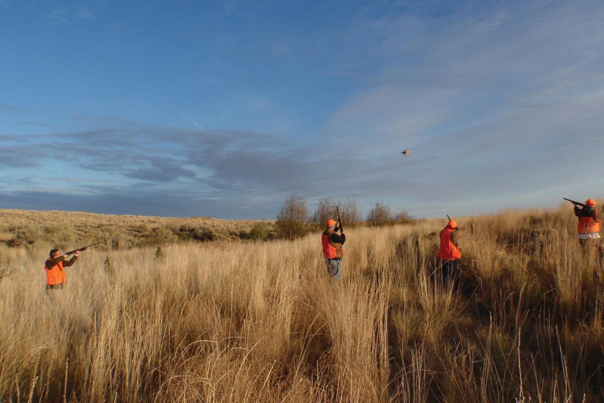 Sage Canyon Outfitters — photo 2